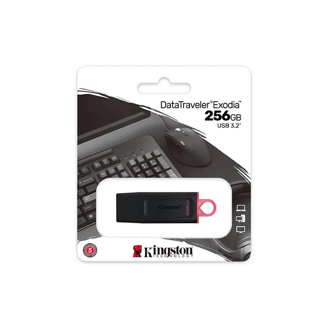 Usb fd 256gb kingston dtxm/256gb